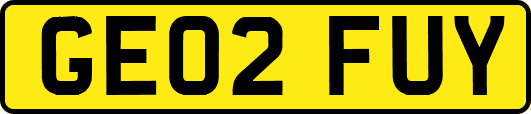 GE02FUY