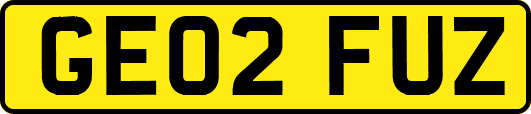 GE02FUZ