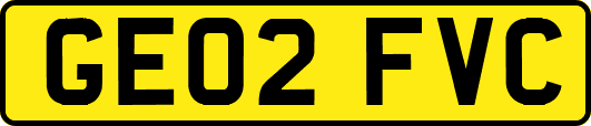 GE02FVC