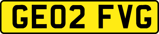 GE02FVG