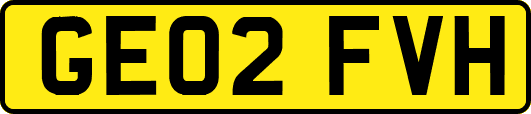 GE02FVH