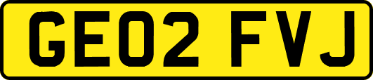 GE02FVJ