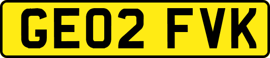 GE02FVK