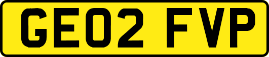 GE02FVP