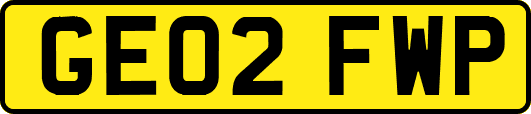GE02FWP