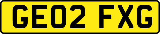 GE02FXG