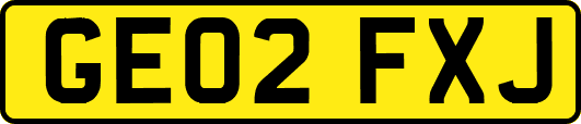 GE02FXJ