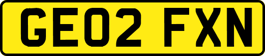 GE02FXN