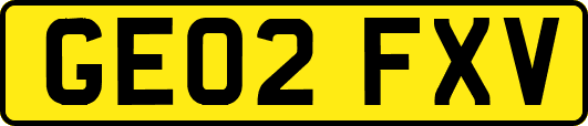 GE02FXV