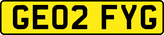 GE02FYG