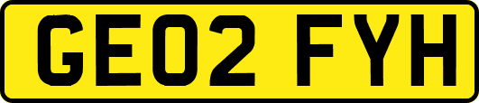 GE02FYH