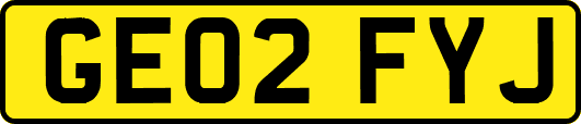 GE02FYJ