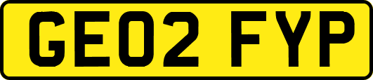 GE02FYP