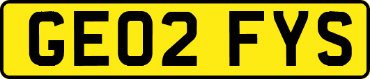 GE02FYS