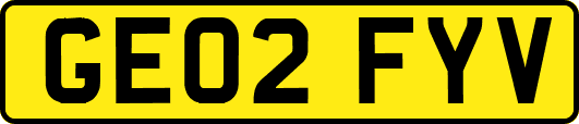 GE02FYV