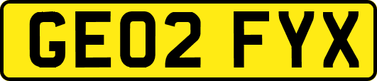 GE02FYX