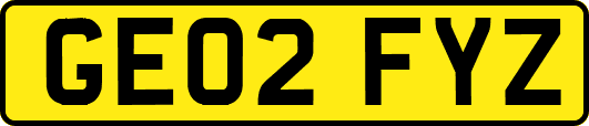 GE02FYZ