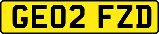 GE02FZD