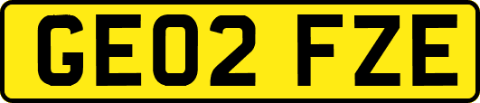 GE02FZE