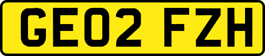 GE02FZH