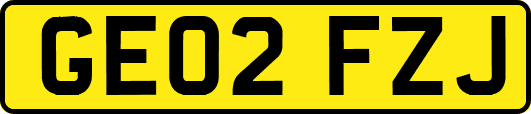 GE02FZJ