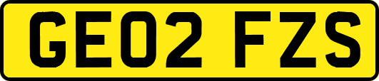GE02FZS