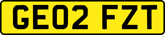 GE02FZT