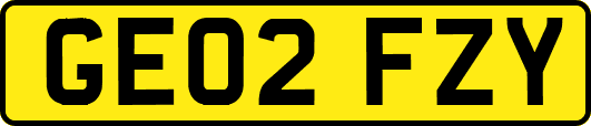 GE02FZY