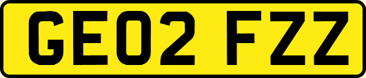 GE02FZZ