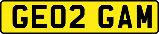 GE02GAM
