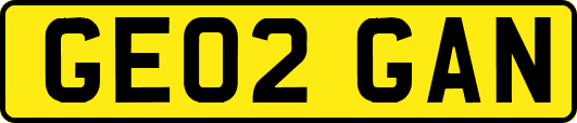 GE02GAN