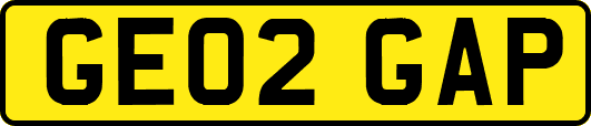 GE02GAP
