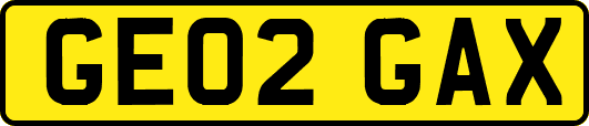 GE02GAX