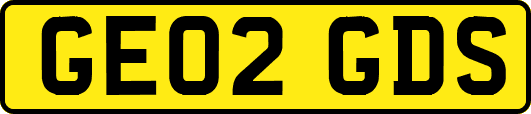 GE02GDS