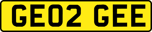 GE02GEE