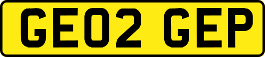 GE02GEP