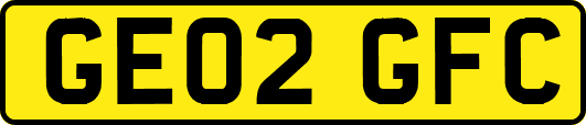 GE02GFC