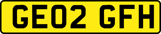 GE02GFH
