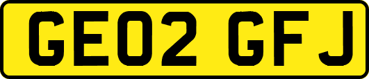 GE02GFJ