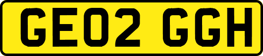 GE02GGH
