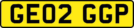 GE02GGP