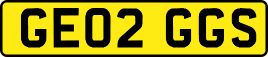 GE02GGS