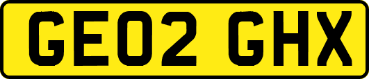 GE02GHX
