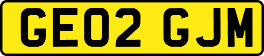 GE02GJM