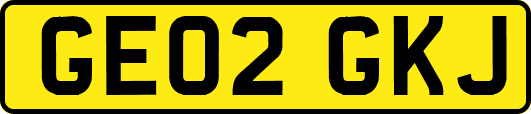 GE02GKJ