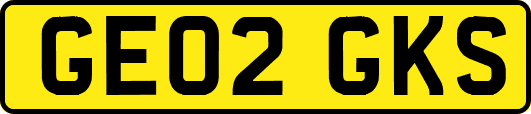 GE02GKS