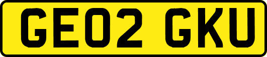 GE02GKU