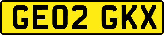 GE02GKX