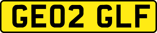 GE02GLF