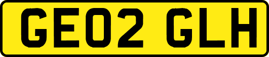 GE02GLH